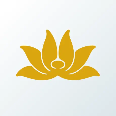 VN