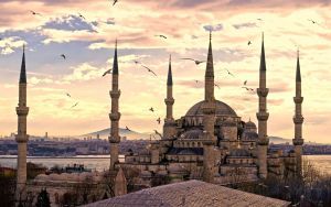 Istanbul Intl